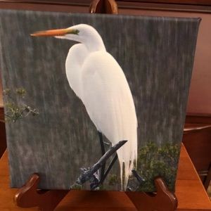 8 x 8 canvas print if an egret